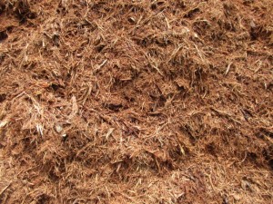 Premium Red Oak Mulch